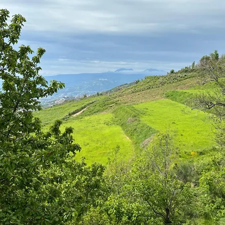 Lägenhet La Valle Dei Ciliegi Casa Latina